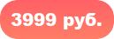 3999 руб.